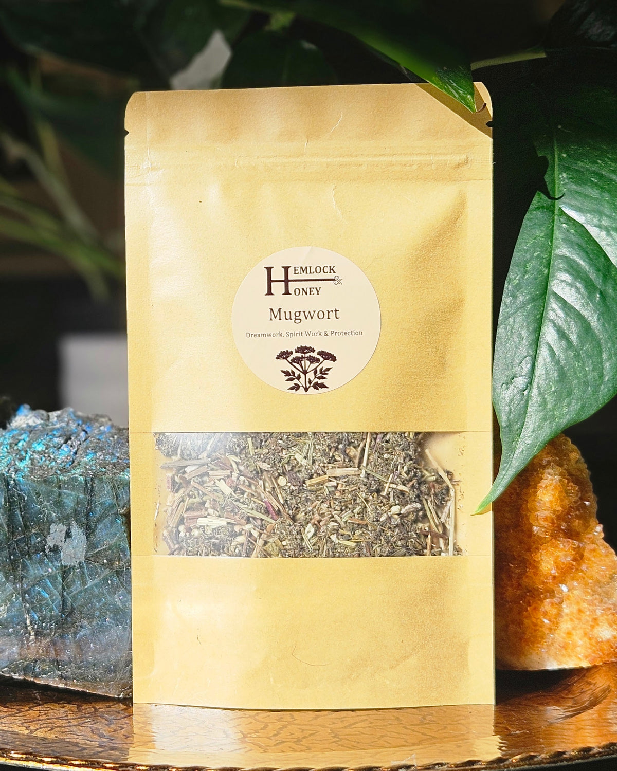 Mugwort for Dreams, Divination, & Protection