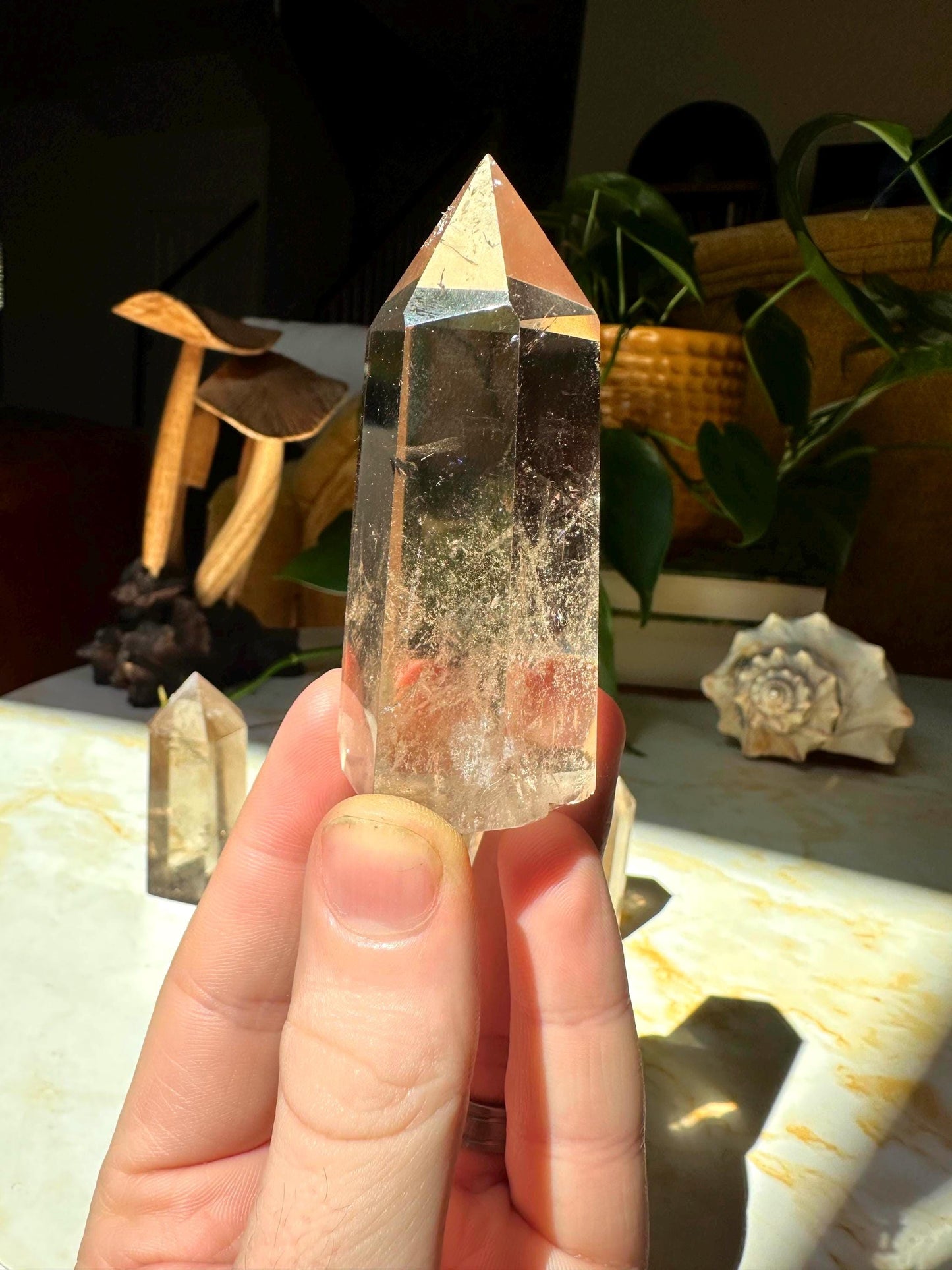 Grade A Smoky Quartz Towers - Hemlock & Honey