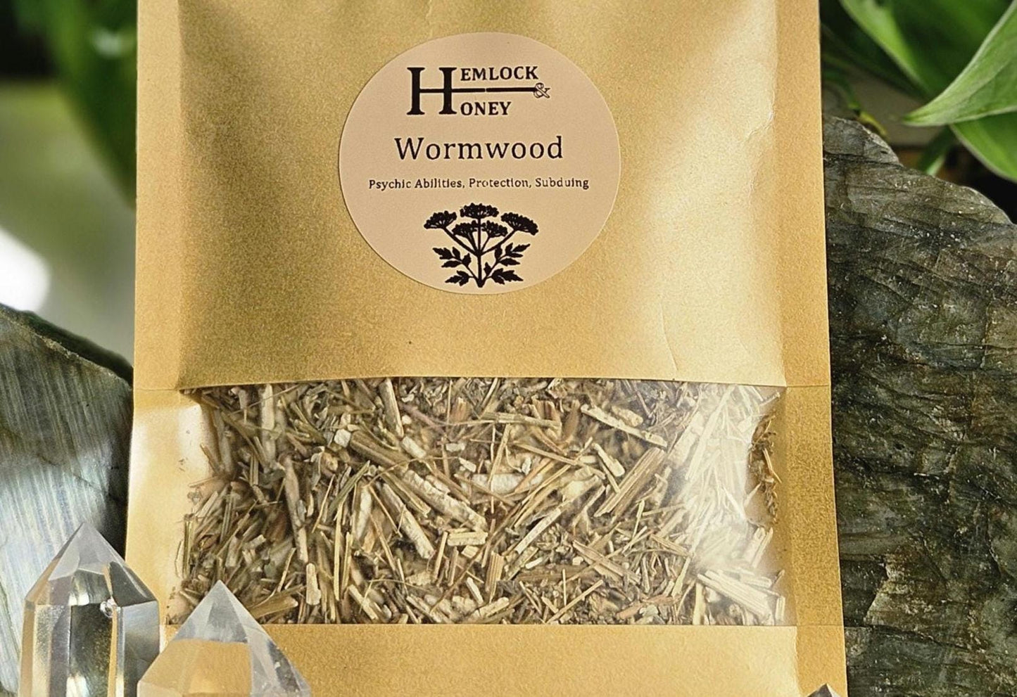 Wormwood for Protection, Spirit Work, Spirit Travel, & Divination