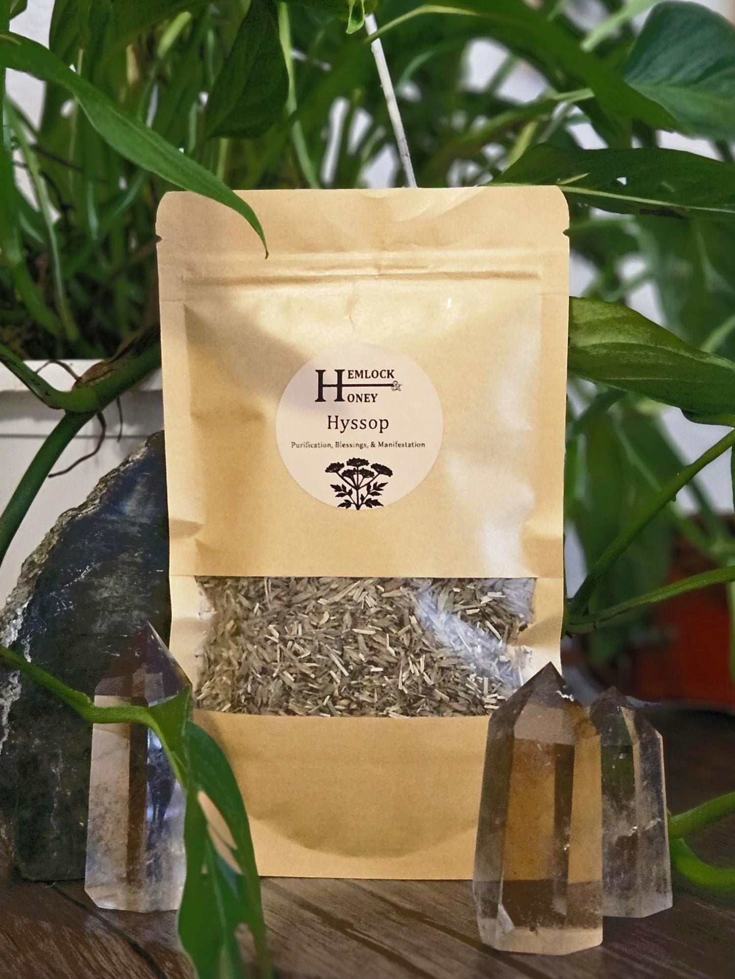 Hyssop for Cleansing, Purification, & Protection