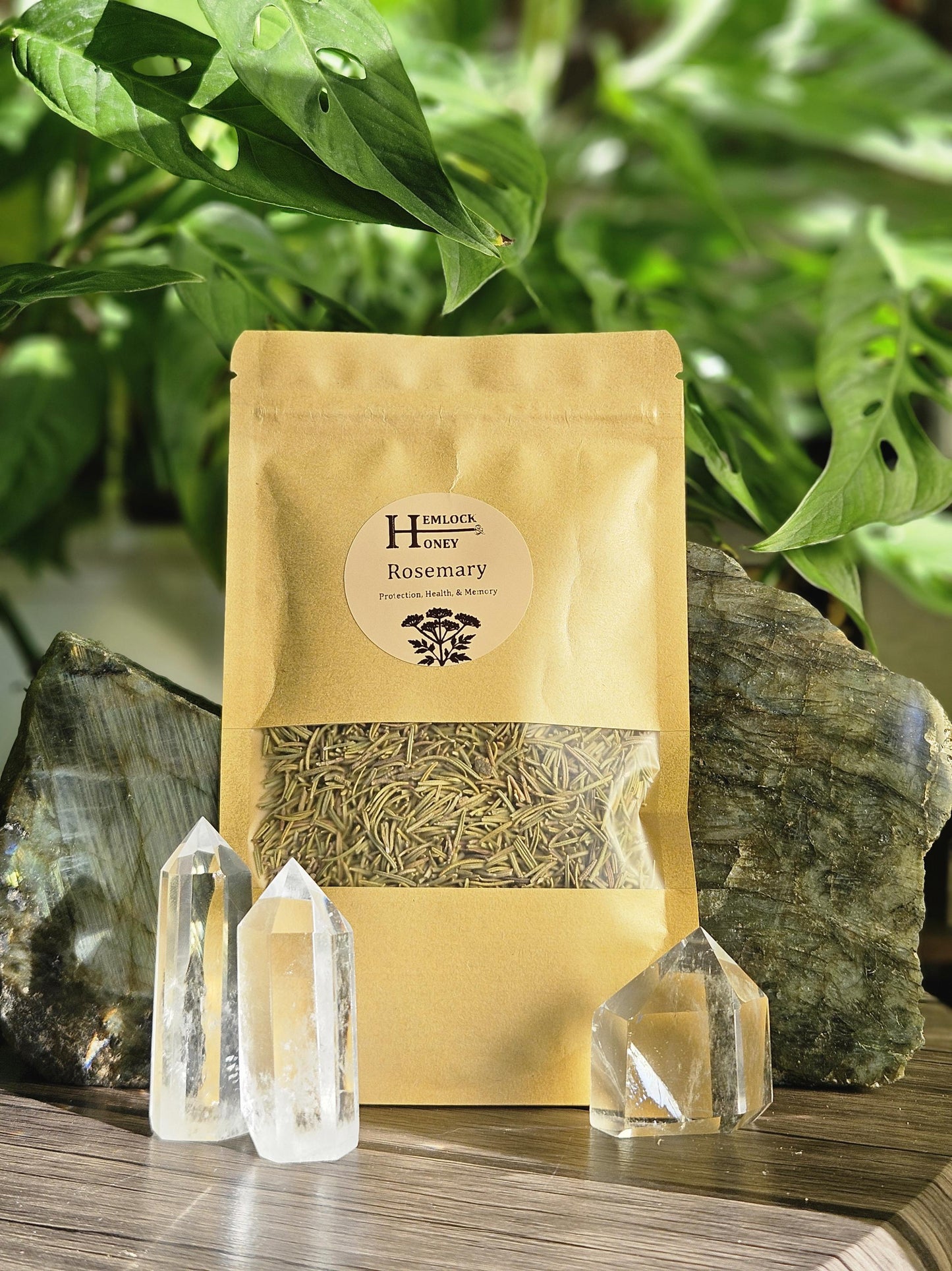 Rosemary for Protection, Clarity, & Purification