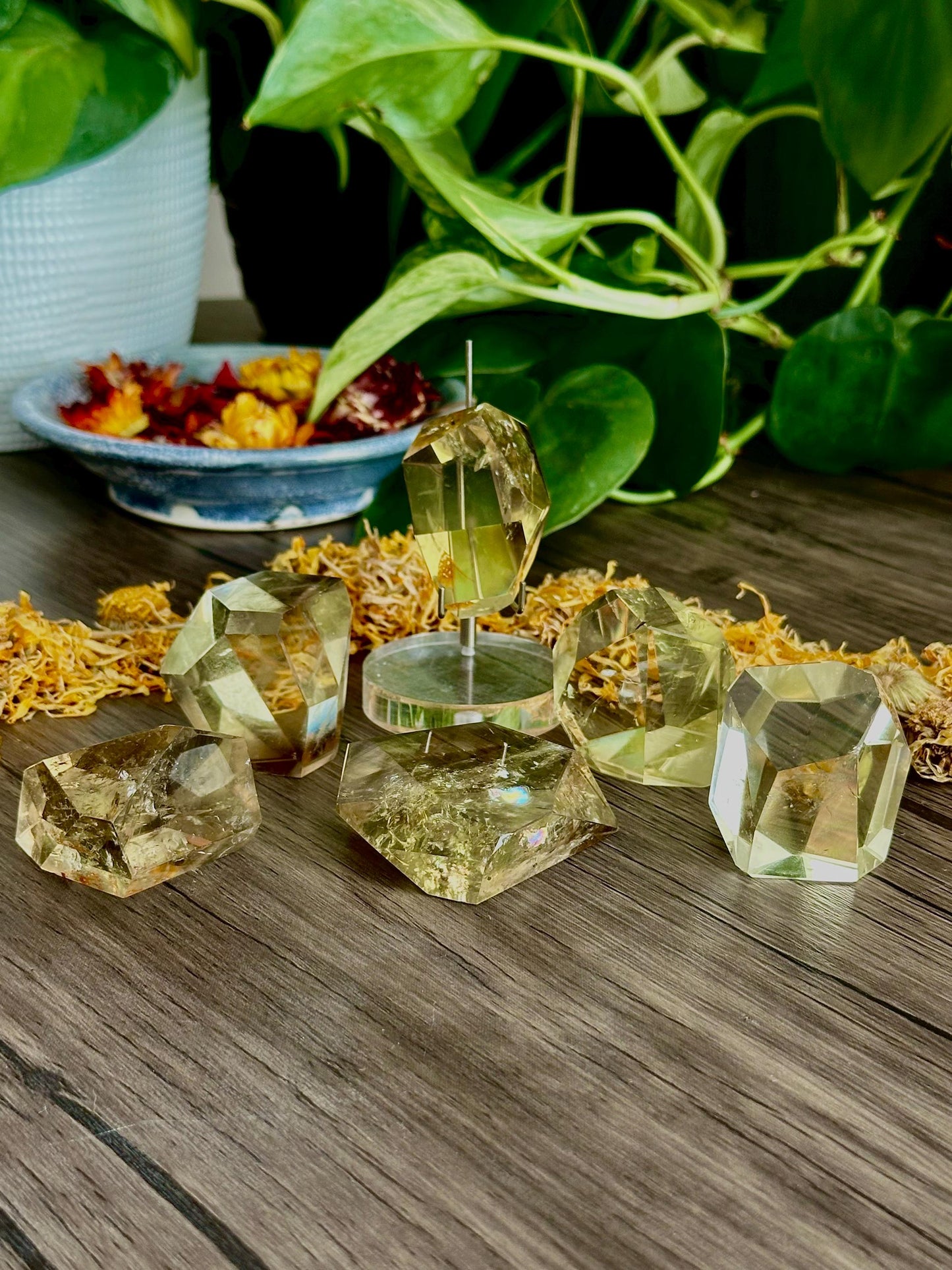 Crystal Clear Citrine for Abundance, Joy & Manifestation