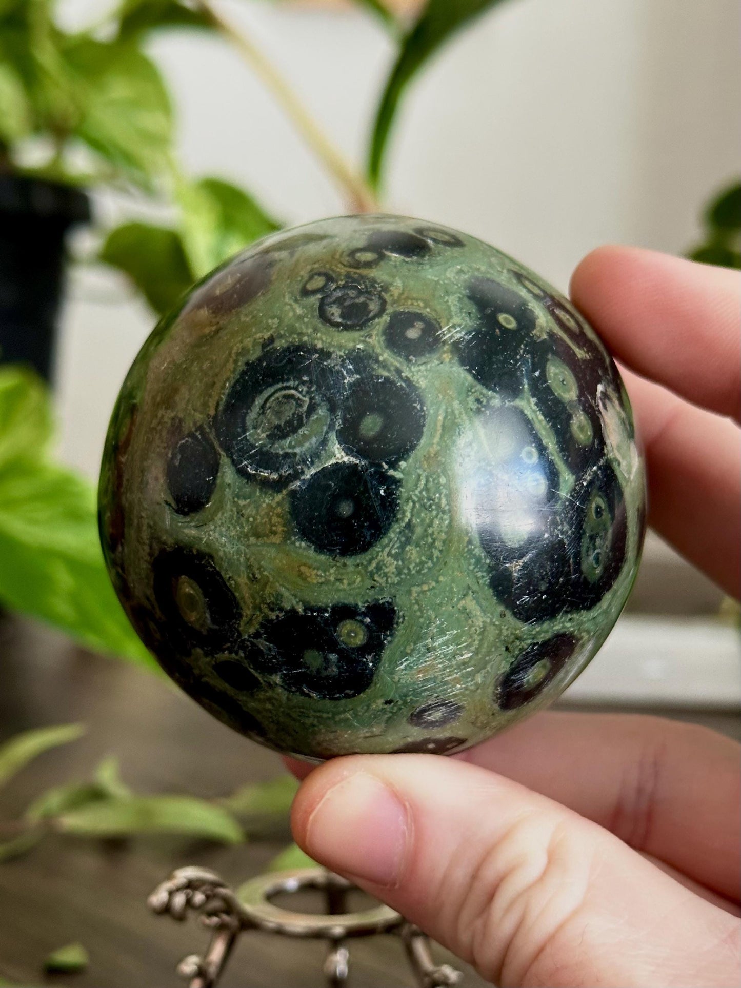 Kambaba Jasper (Crocodile Jasper) - Protection and Stability - Hemlock & Honey