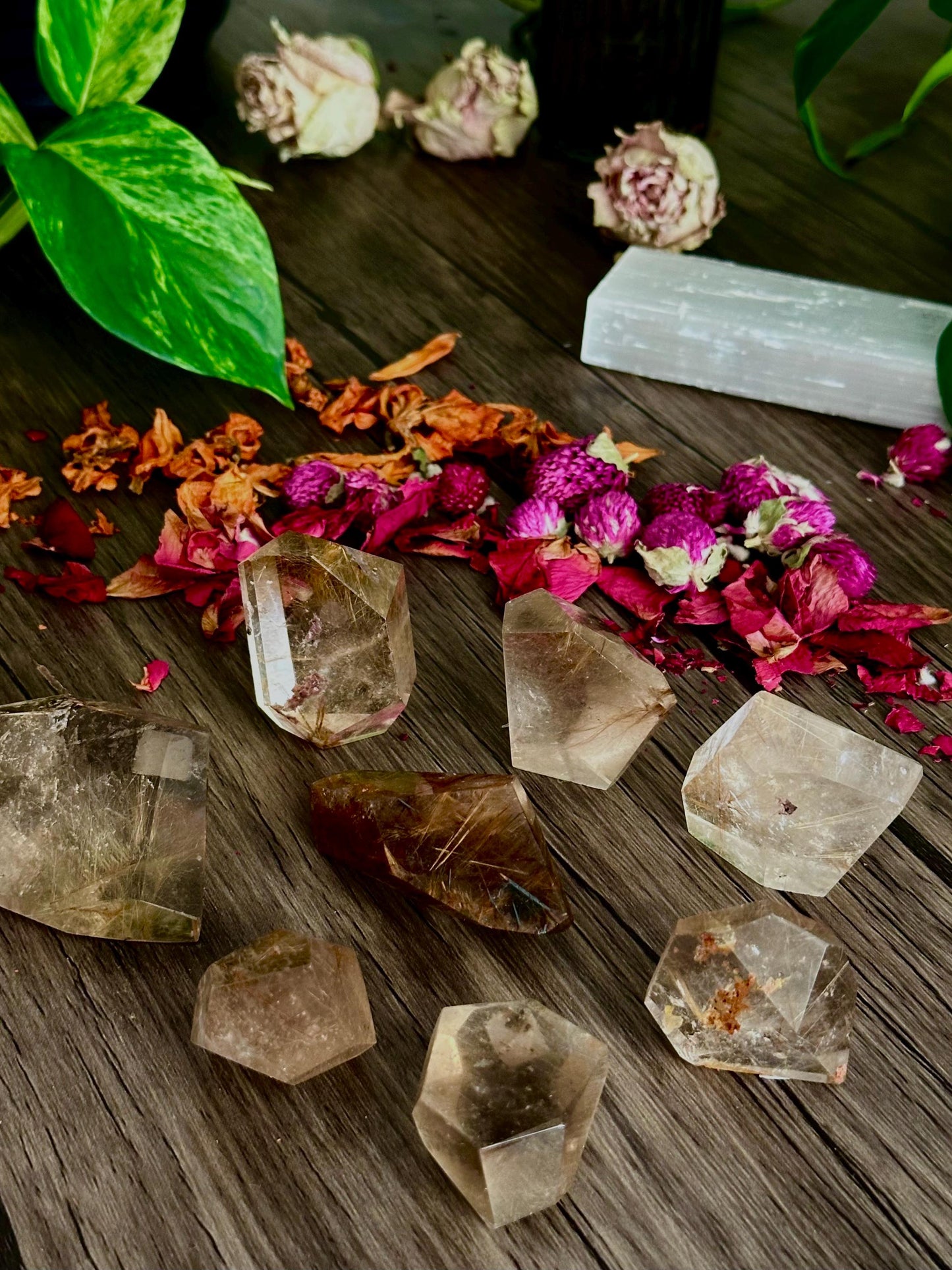 Rutilated Quartz Points: Freeform Crystals - Hemlock & Honey