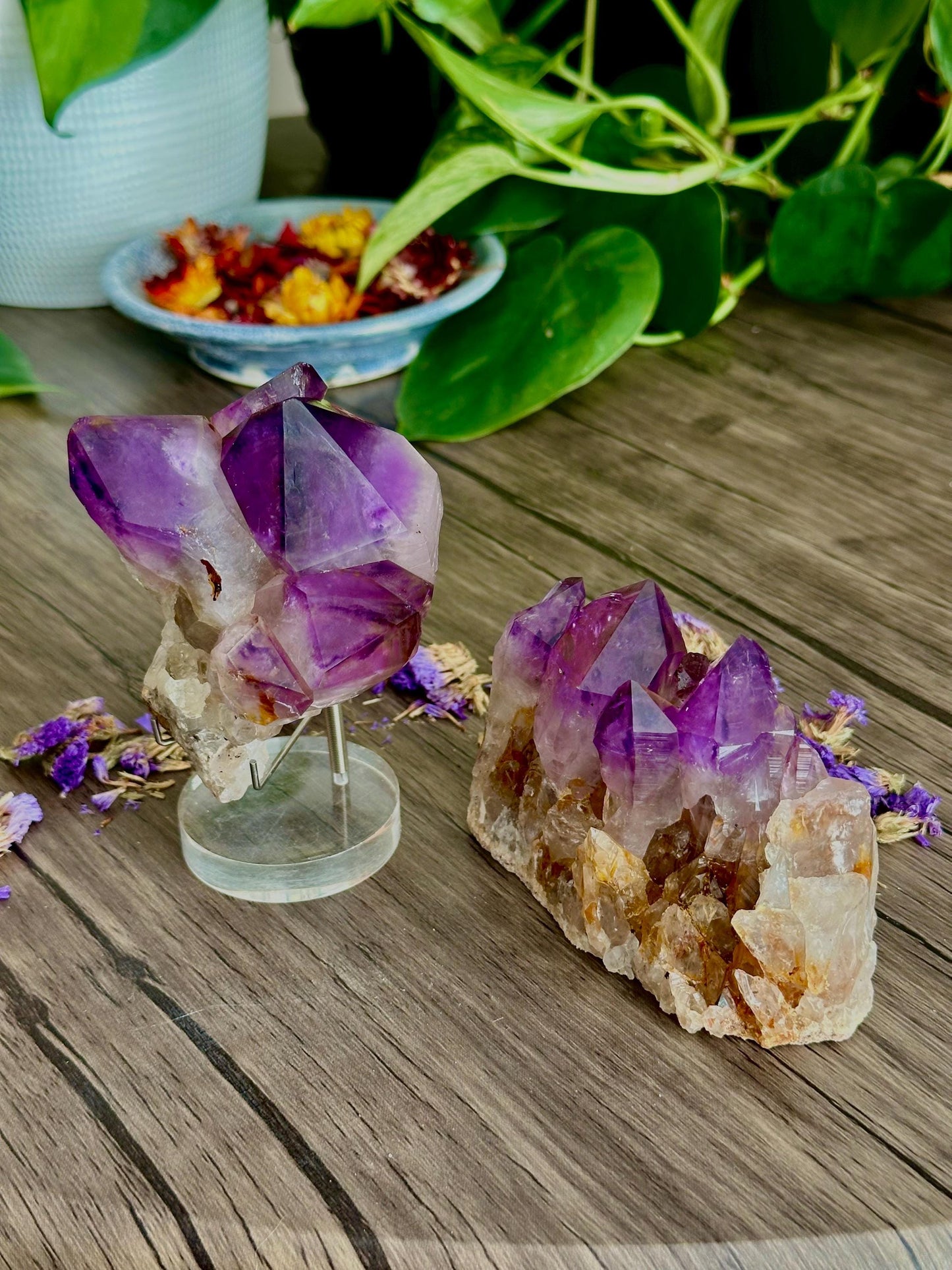 Deep Purple Brazilian Amethyst Cluster - Spiritual protection, Intuition & Calming Energy - Hemlock & Honey