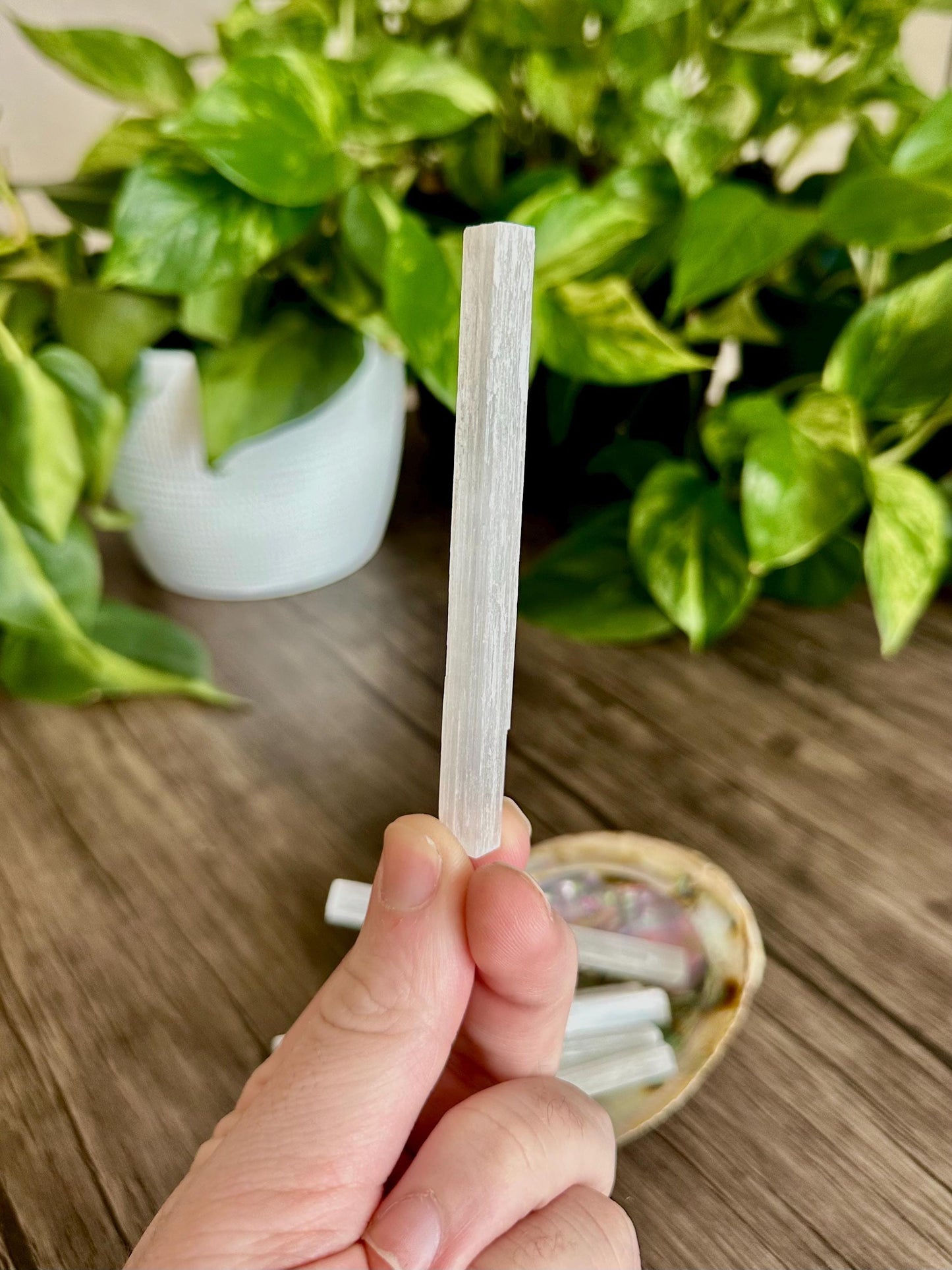 Mini Selenite Sticks / Wands - Cleansing, Energy Clearing, Protection - Hemlock & Honey
