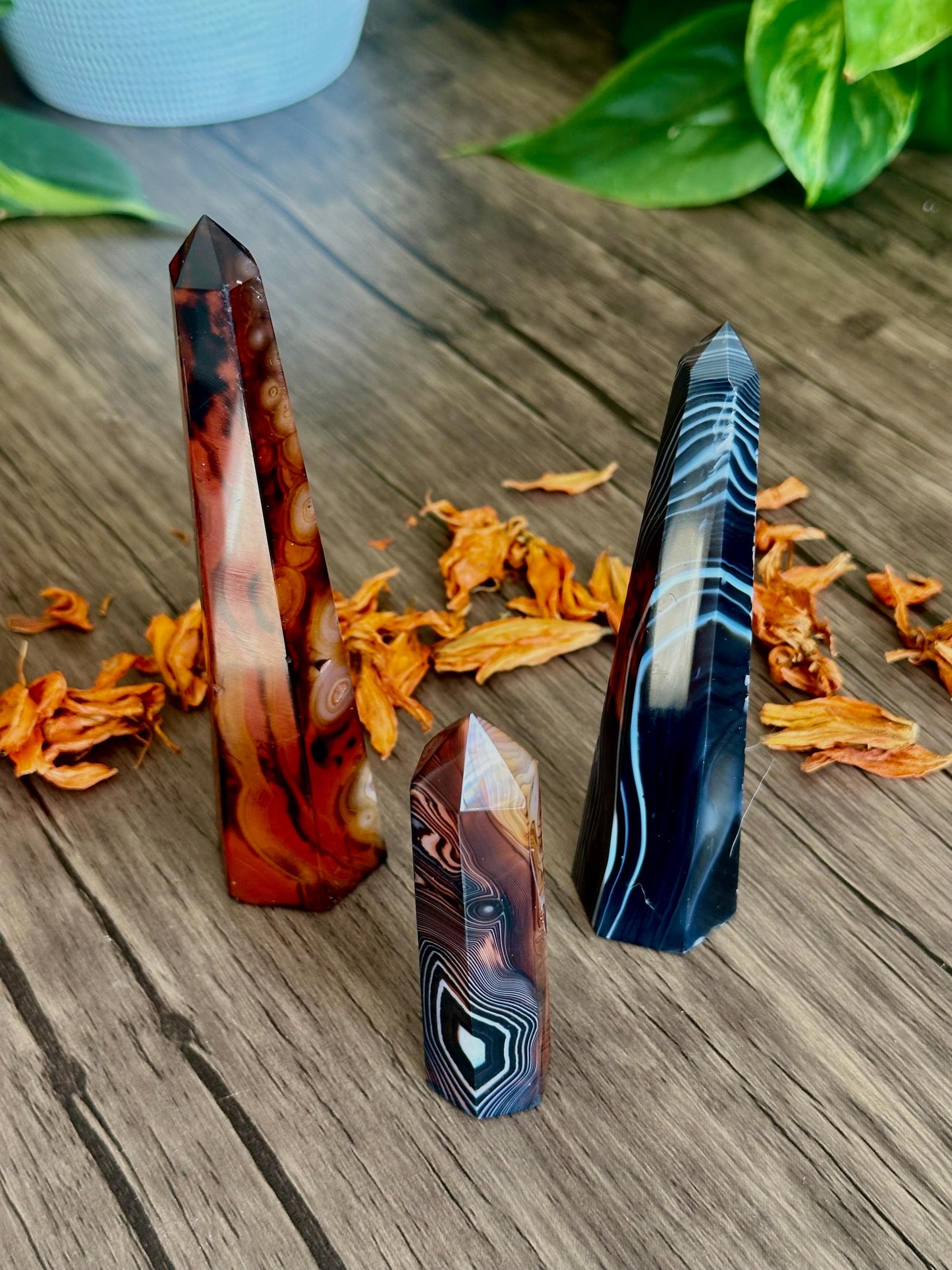 Sardonyx Towers - Stability, Discipline & Focus - Hemlock & Honey