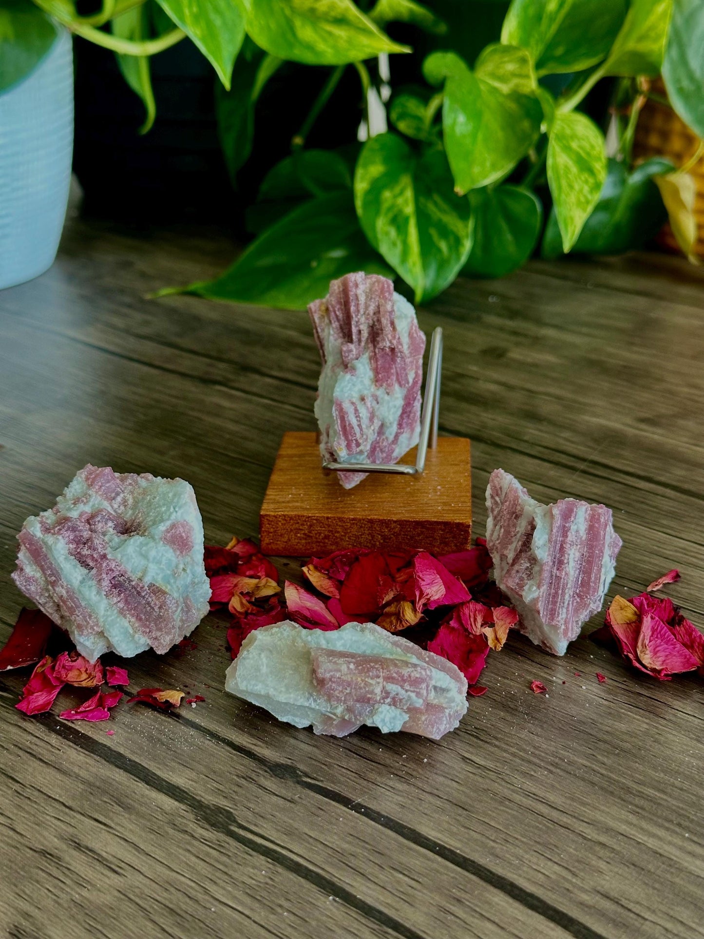 Pink Tourmaline Chunks - Emotional Healing, Heart Support & Compassion - Hemlock & Honey