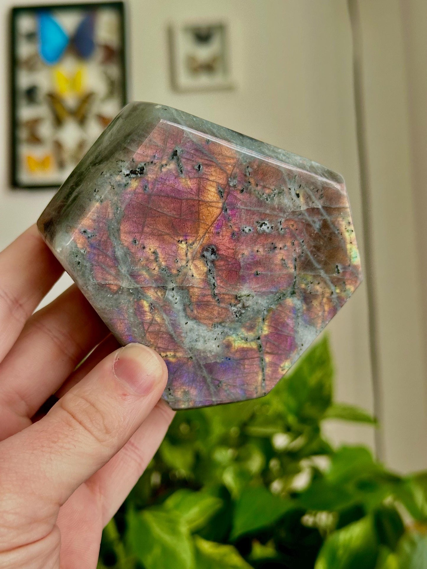 Purple / Blue Labradorite Freeforms - Intuition, balance & Awareness - Hemlock & Honey