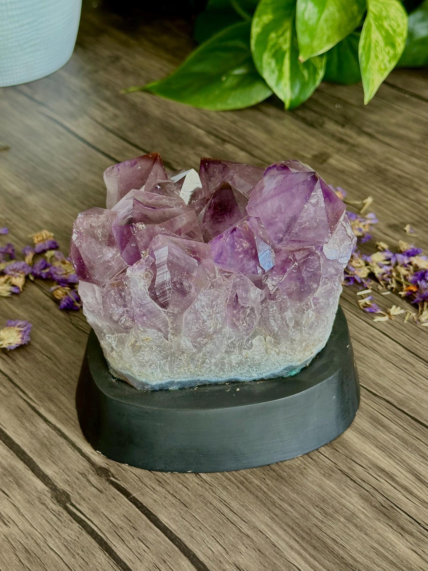 Amethyst Cluster with Custom Base- Spiritual grounding, Protection/Calmness, Emotional Balance