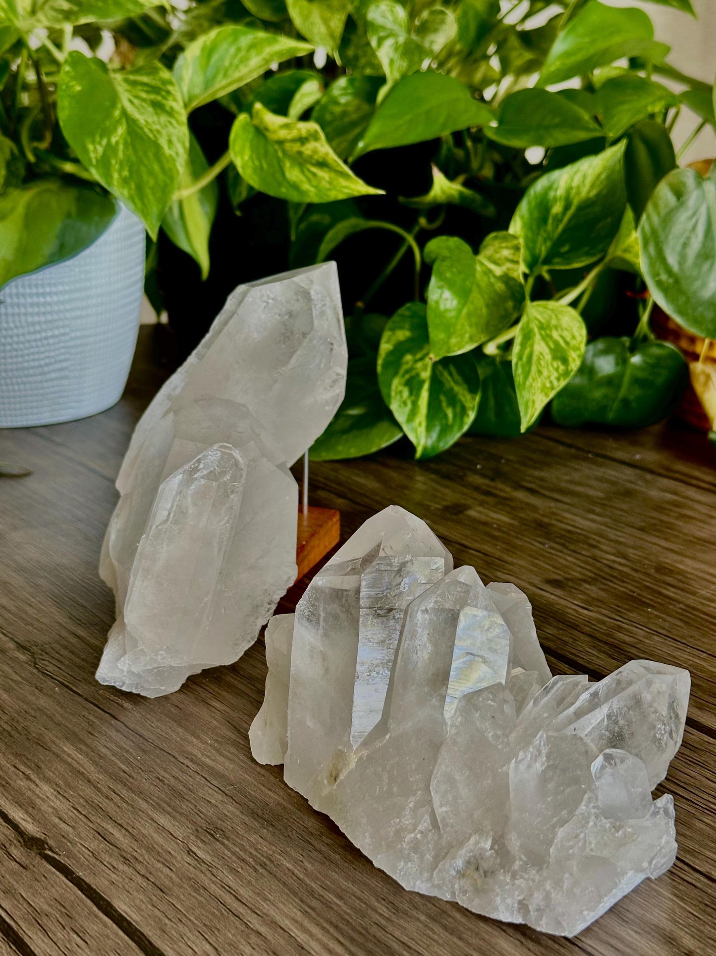 XL & Medium Quartz Clusters - Amplification, Space Cleansing/ Clarity - Hemlock & Honey