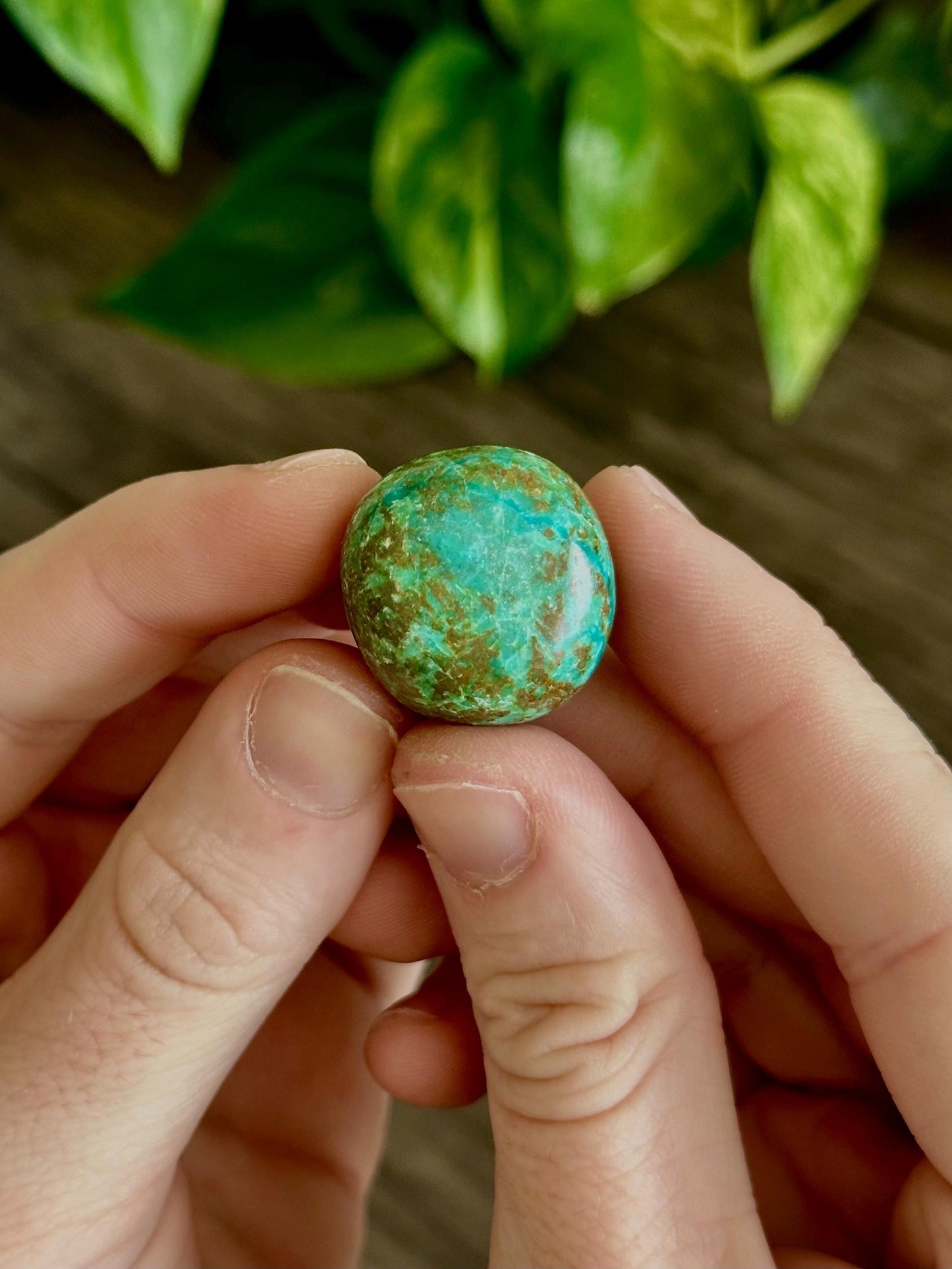 Turquoise / Chrysocolla Tumbles- Communication, Emotional Balance, Expression & Healing