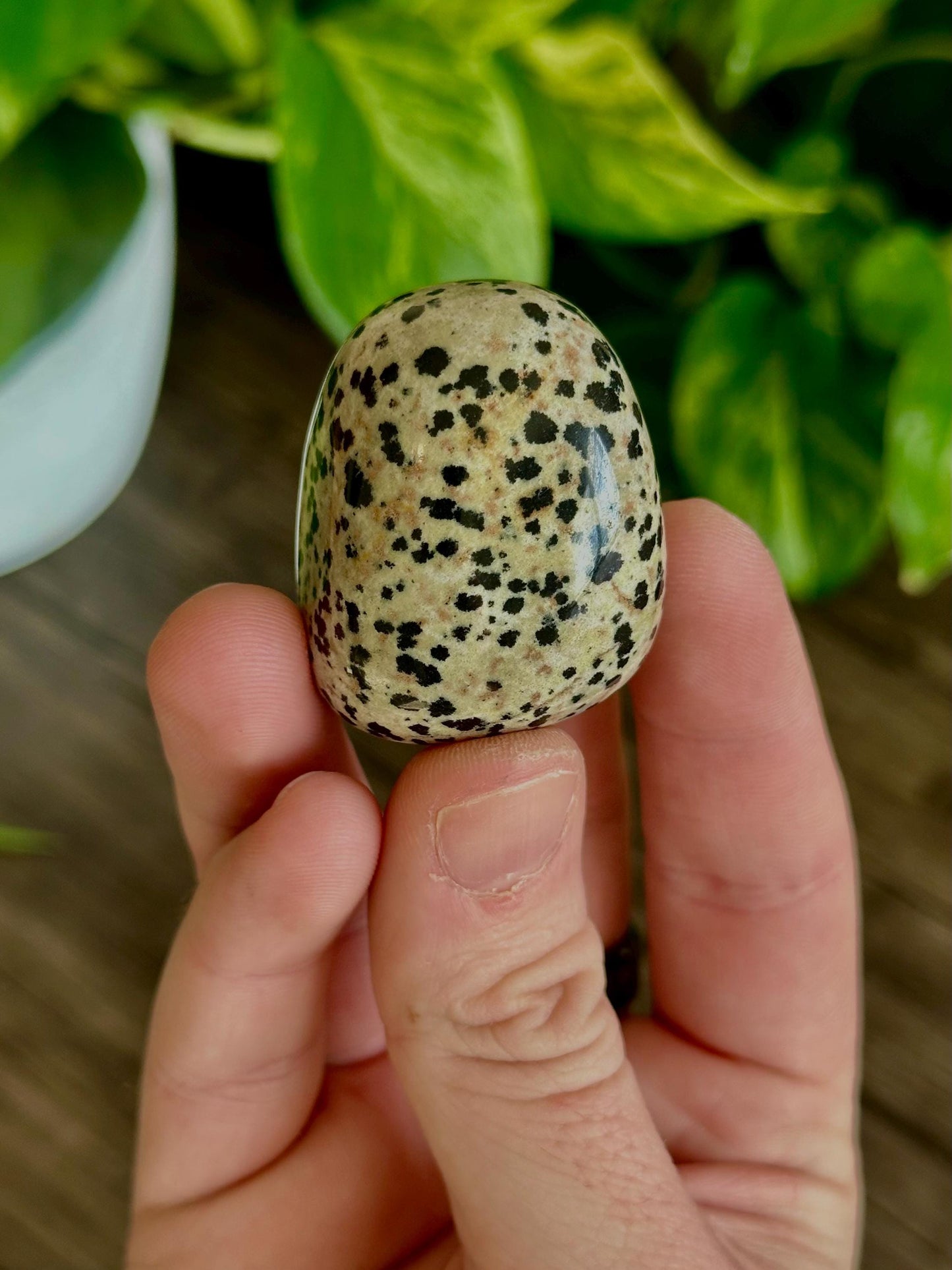 Dalmatian Jasper Tumbles- Joy, Inner Youth, Emotional Balance