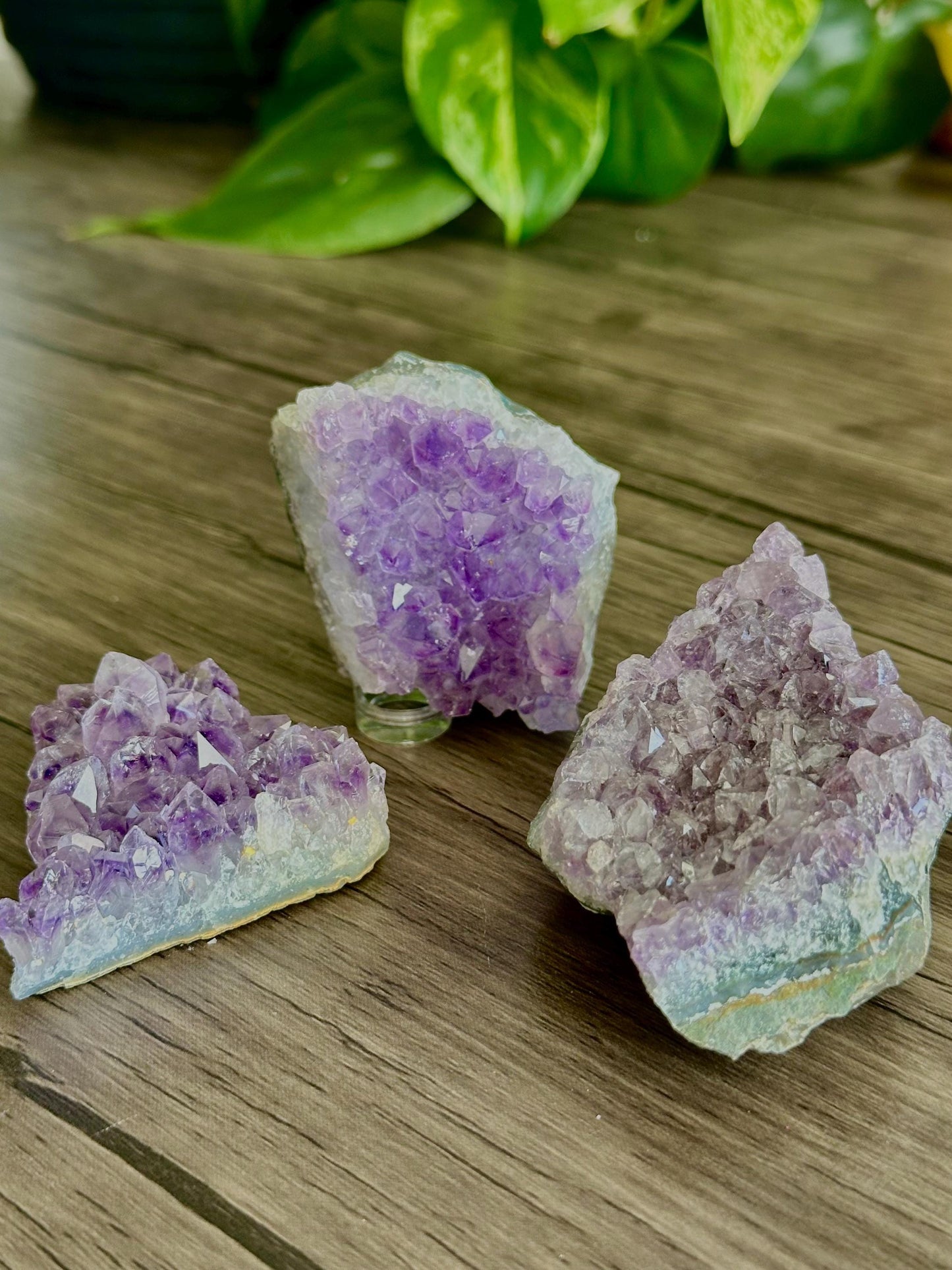 Amethyst Cluster - Spiritual Grounding, Protection/Calmness, Emotional Balance, & Intuition - Hemlock & Honey