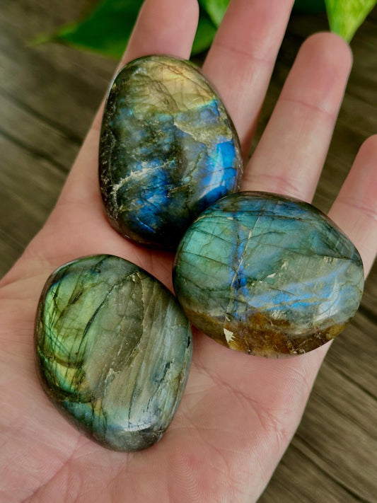 Labradorite Palm Stones (Mixed Quality / Golden Flash, High Quality) - Hemlock & Honey