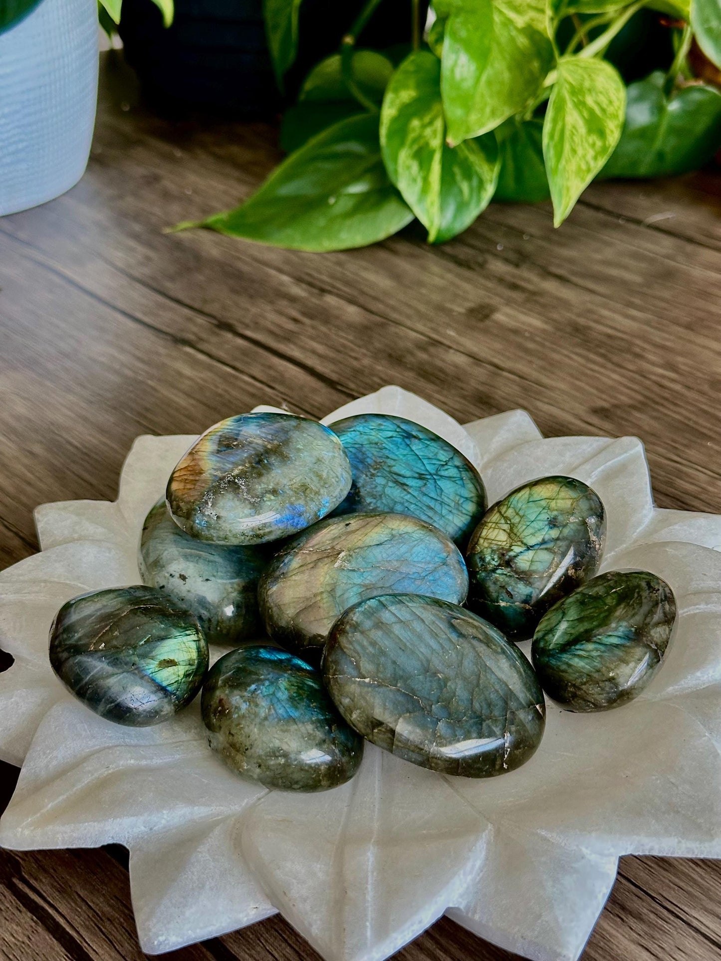 Labradorite Palm Stones (Mixed Quality / Golden Flash, High Quality) - Hemlock & Honey