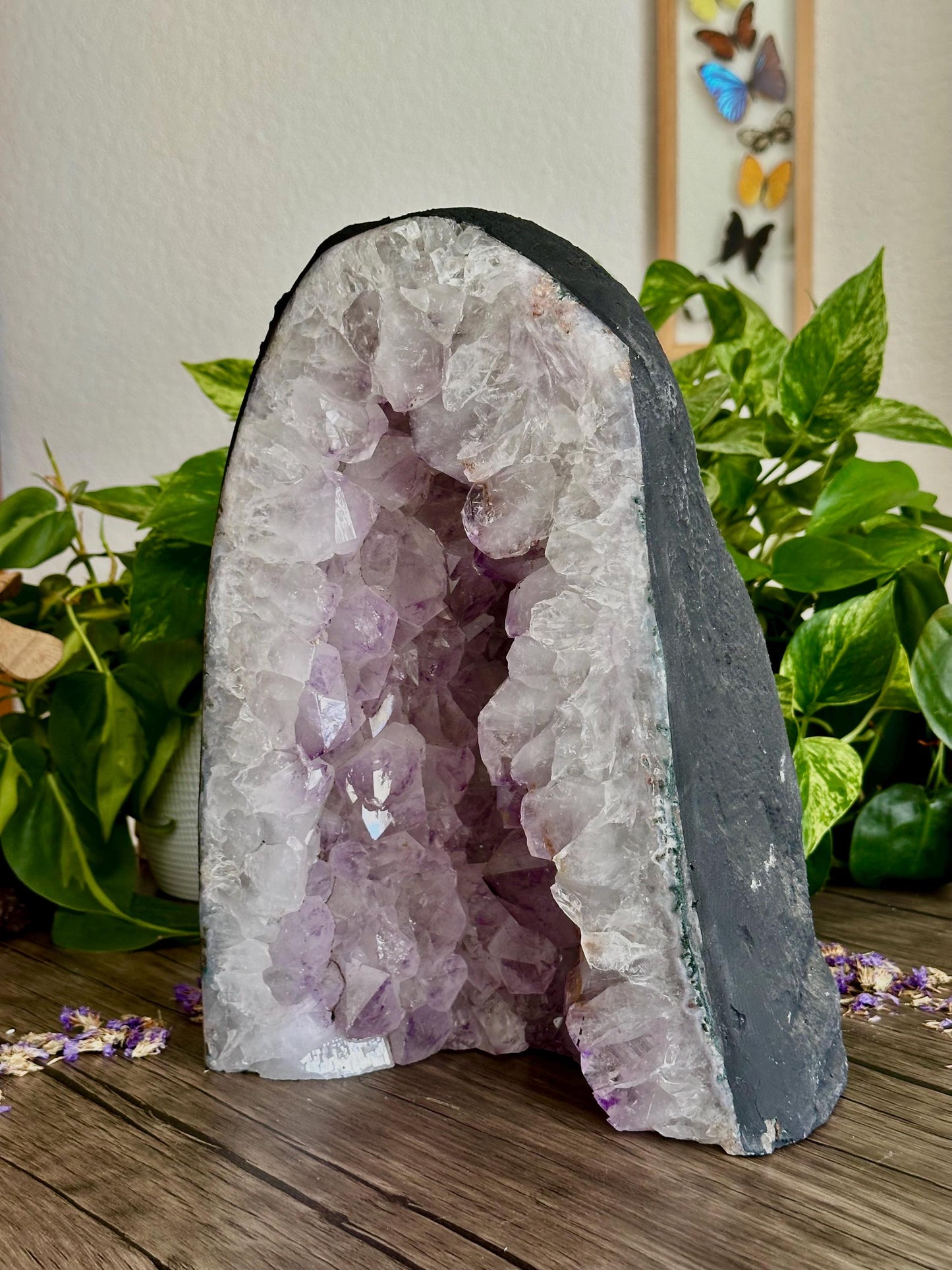 XL Amethyst Cathedral for Spiritual Grounding, Protection, & Intuition