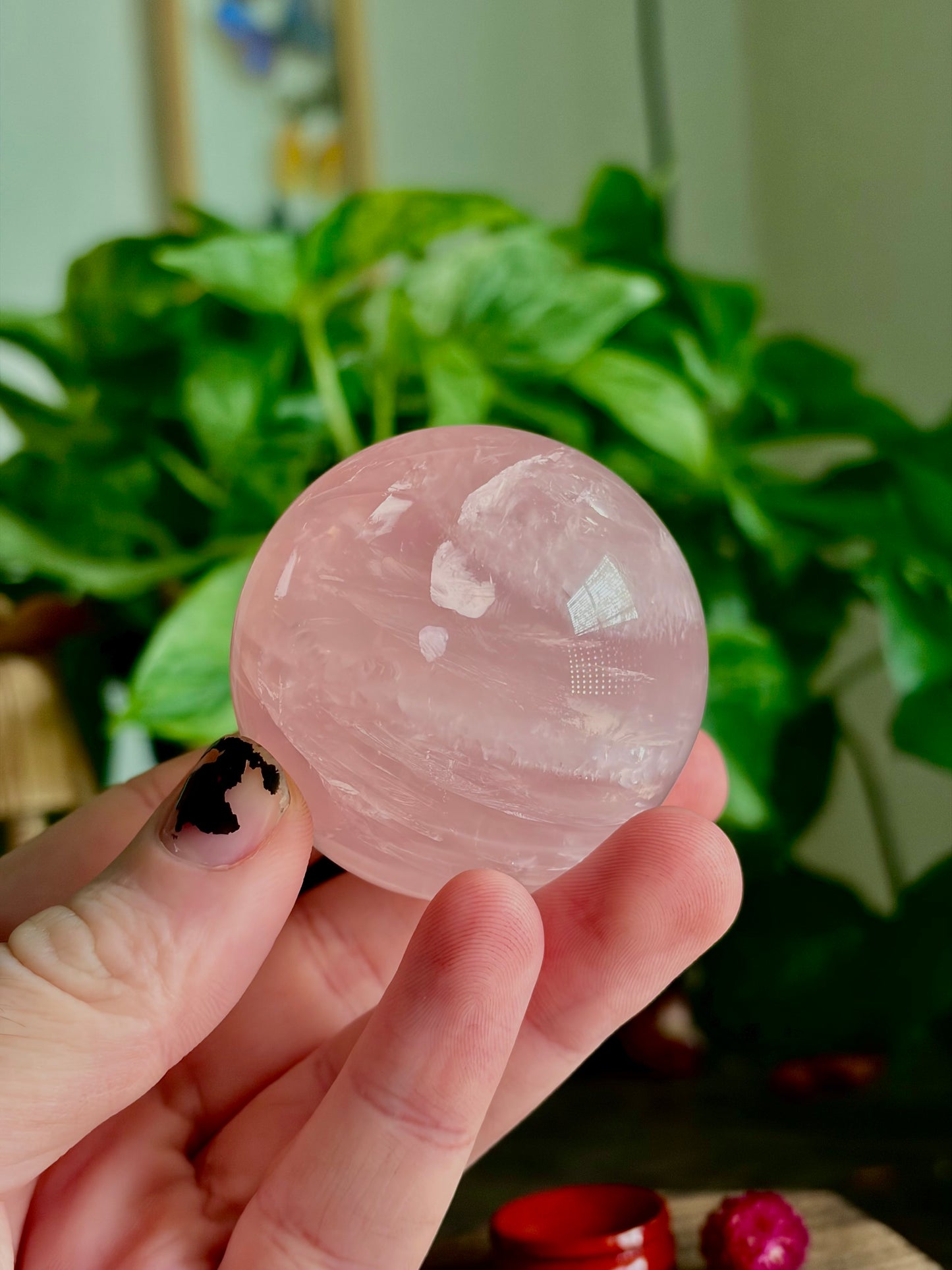 Rose Quartz Spheres - XL Spheres, Medium/ Star Rose Quartz - Hemlock & Honey