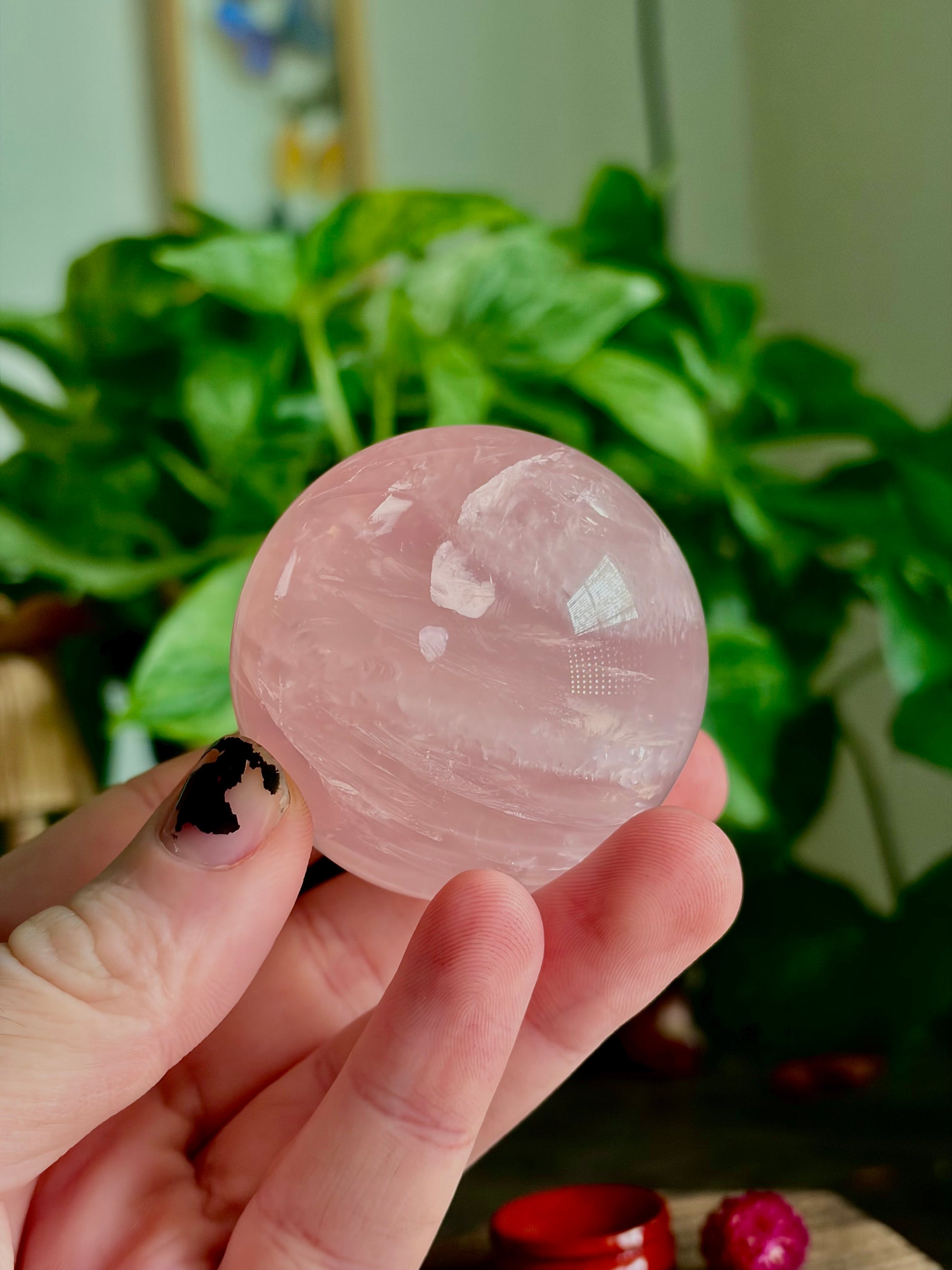 Rose Quartz Spheres - XL Spheres, Medium/ Star Rose Quartz - Hemlock & Honey