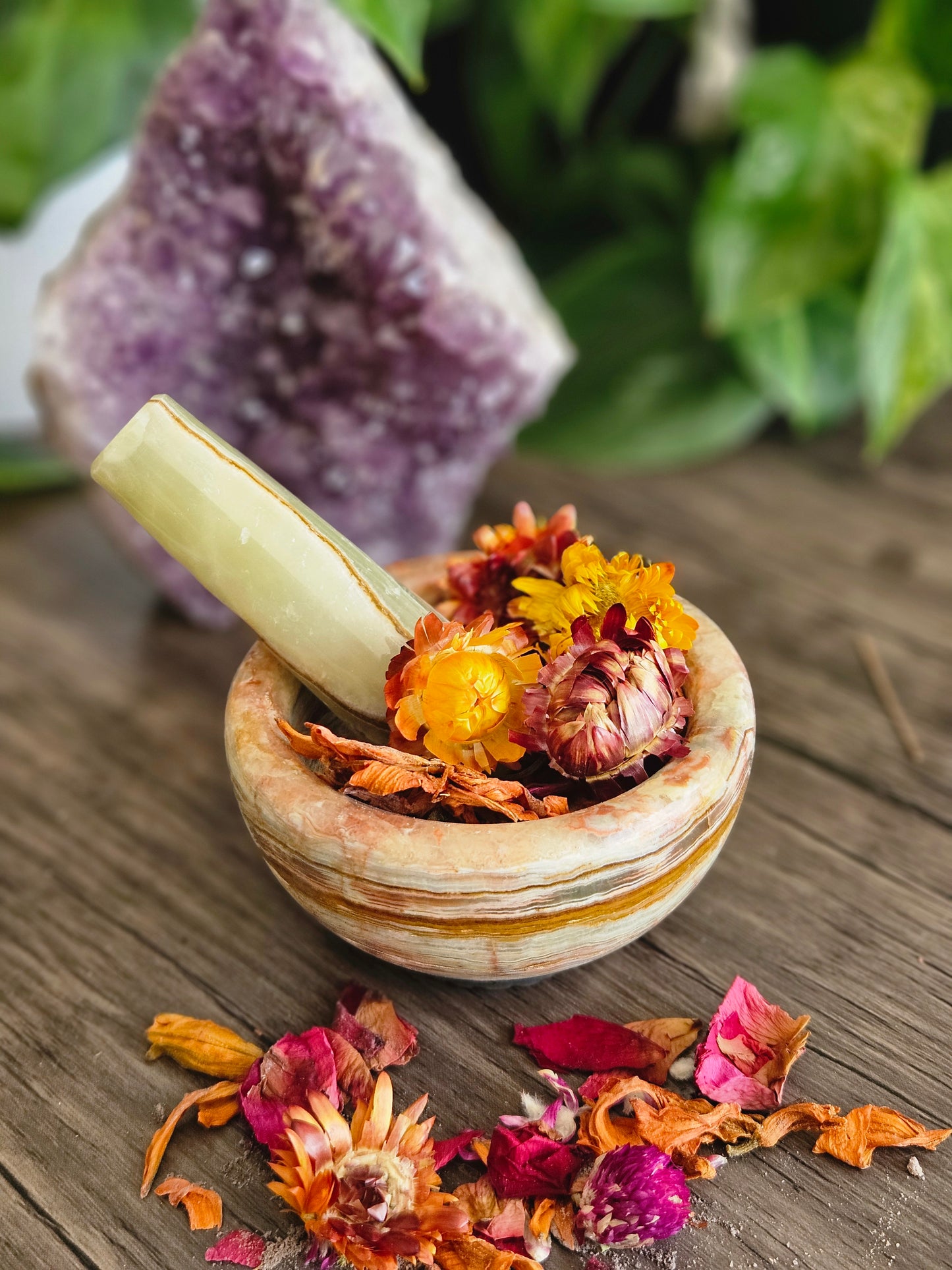 Mortar & Pestle + Herbs - Hemlock & Honey