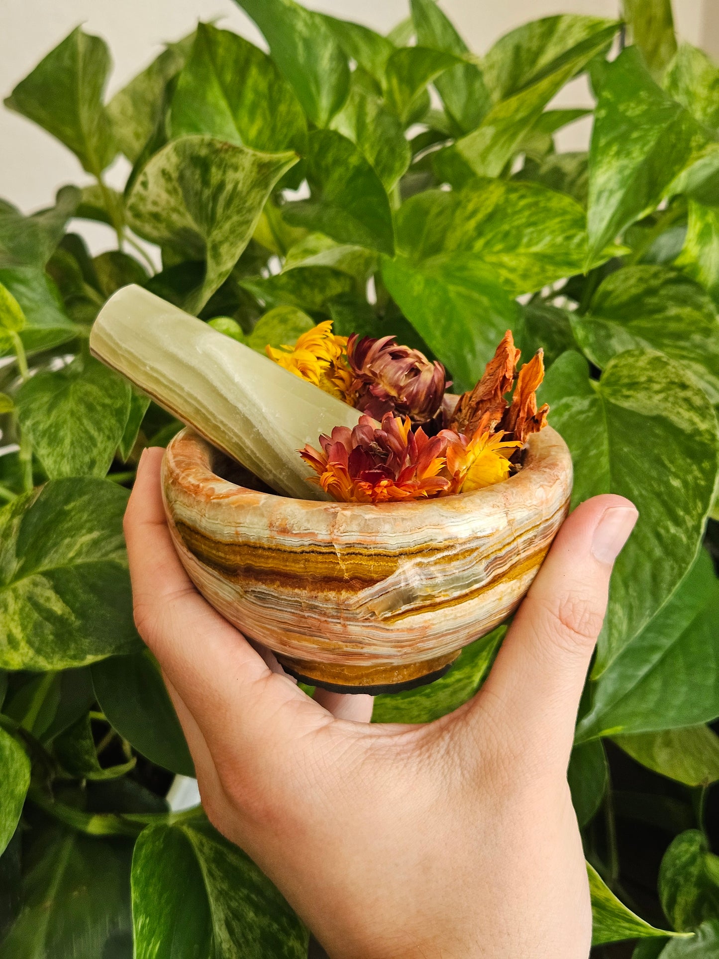 Mortar & Pestle + Herbs - Hemlock & Honey