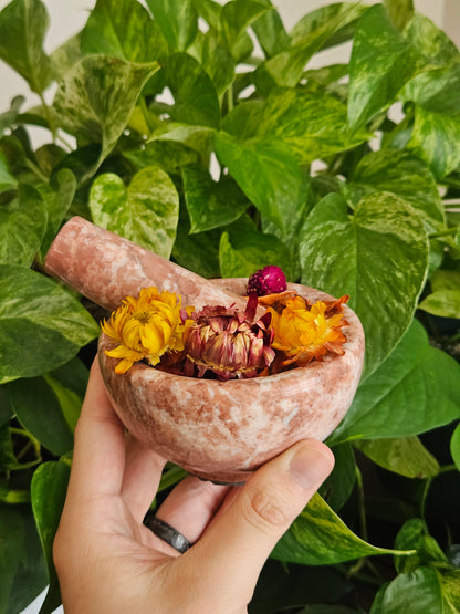 Mortar & Pestle + Herbs - Hemlock & Honey