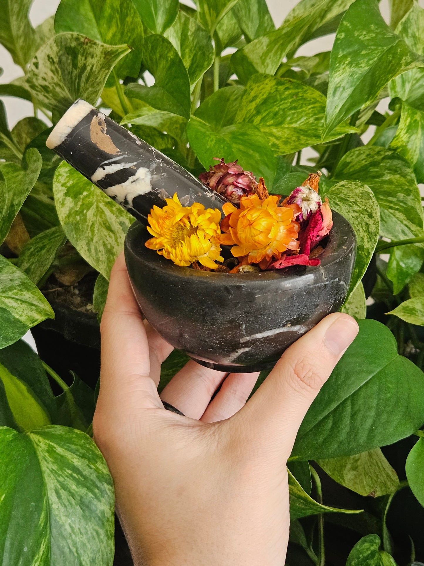 Mortar & Pestle + Herbs - Hemlock & Honey
