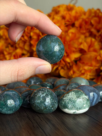 Moss Agate Tumbles for Growth, Prosperity, & Land Work