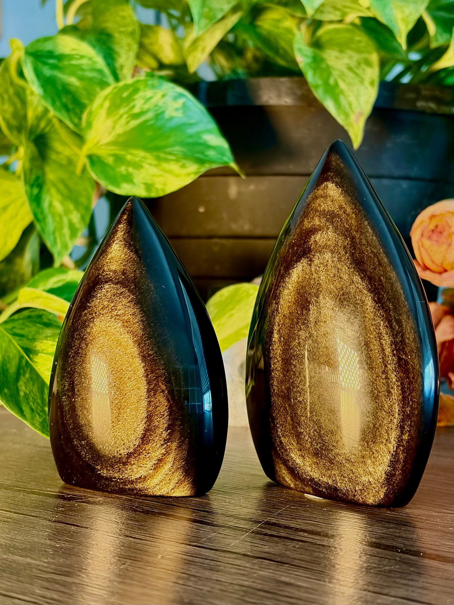 Gold Sheen Obsidian Tear Drop Freeform - Protection, Boundary Work & Self Refection - Hemlock & Honey