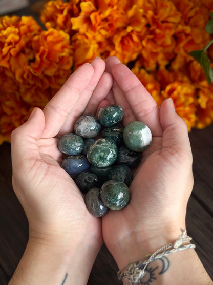 Moss Agate Tumbles for Growth, Prosperity, & Land Work