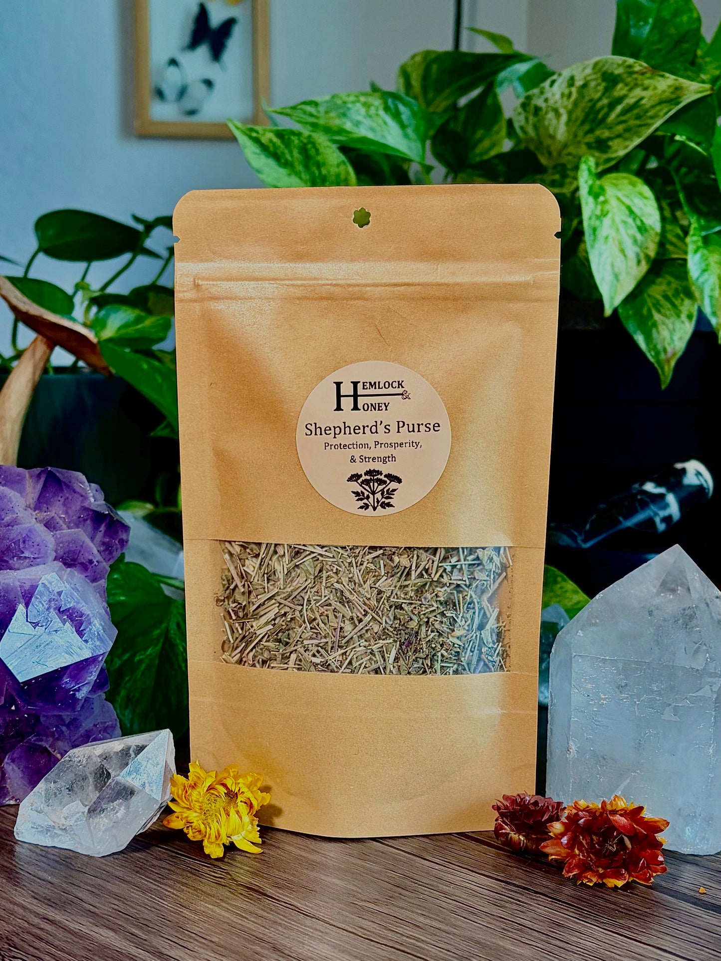 Shepherd’s Purse for Protection, Prosperity & Strength