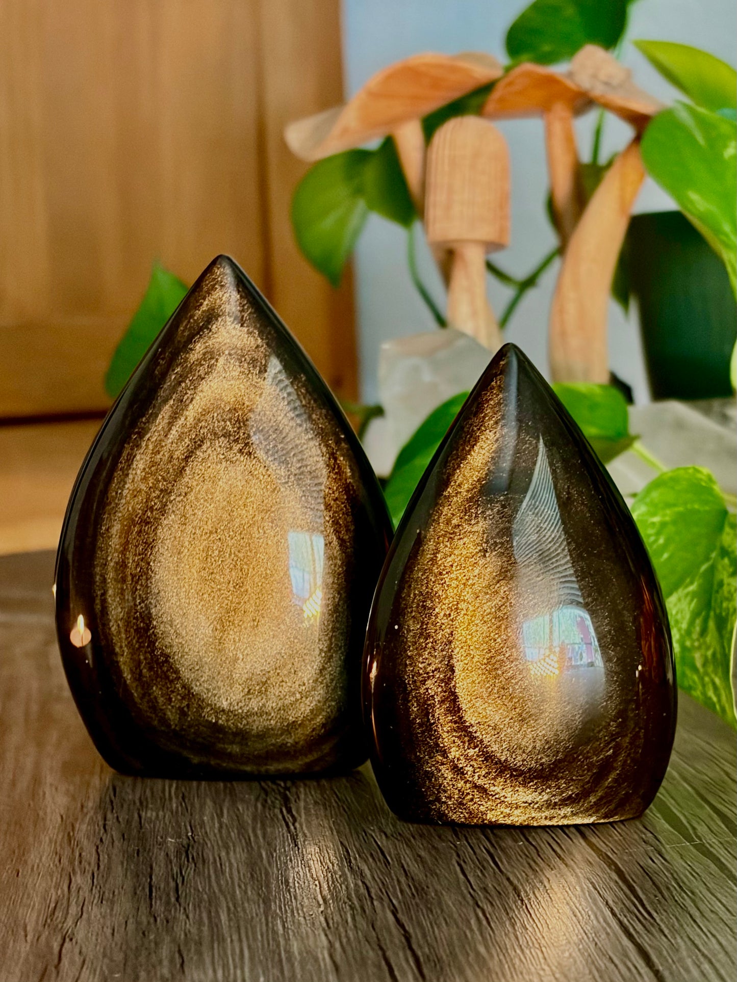 Gold Sheen Obsidian Tear Drop Freeform - Protection, Boundary Work & Self Refection - Hemlock & Honey