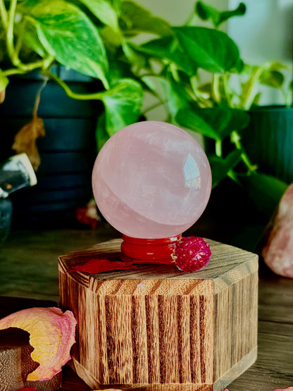 Rose Quartz Spheres - XL Spheres, Medium/ Star Rose Quartz - Hemlock & Honey