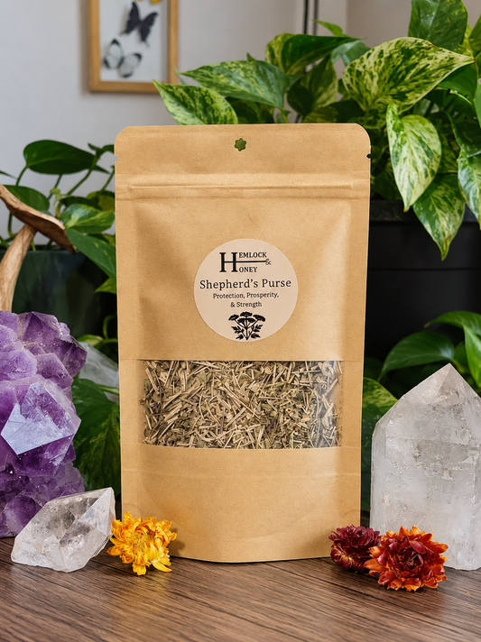 Shepherd's Purse herb for prosperity and protection spellwork
