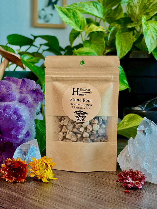 Stone Root for Protection, Strength & Reconciliation - Hemlock & Honey