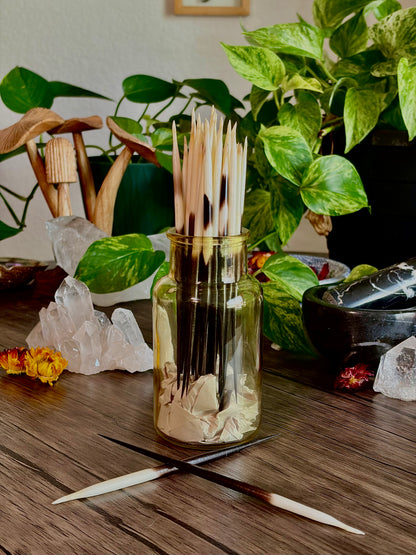 Porcupine Quills for Protection & Sigil Drawing