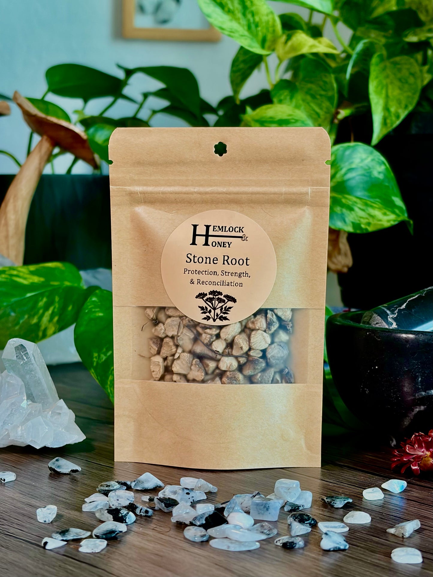 Stone Root for Protection, Strength & Reconciliation - Hemlock & Honey