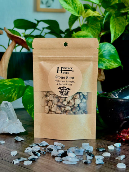Stone Root for Protection, Strength & Reconciliation - Hemlock & Honey