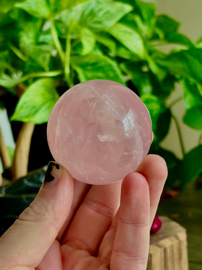 Rose Quartz Spheres - XL Spheres, Medium/ Star Rose Quartz - Hemlock & Honey