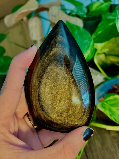 Gold Sheen Obsidian Tear Drop Freeform - Protection, Boundary Work & Self Refection - Hemlock & Honey