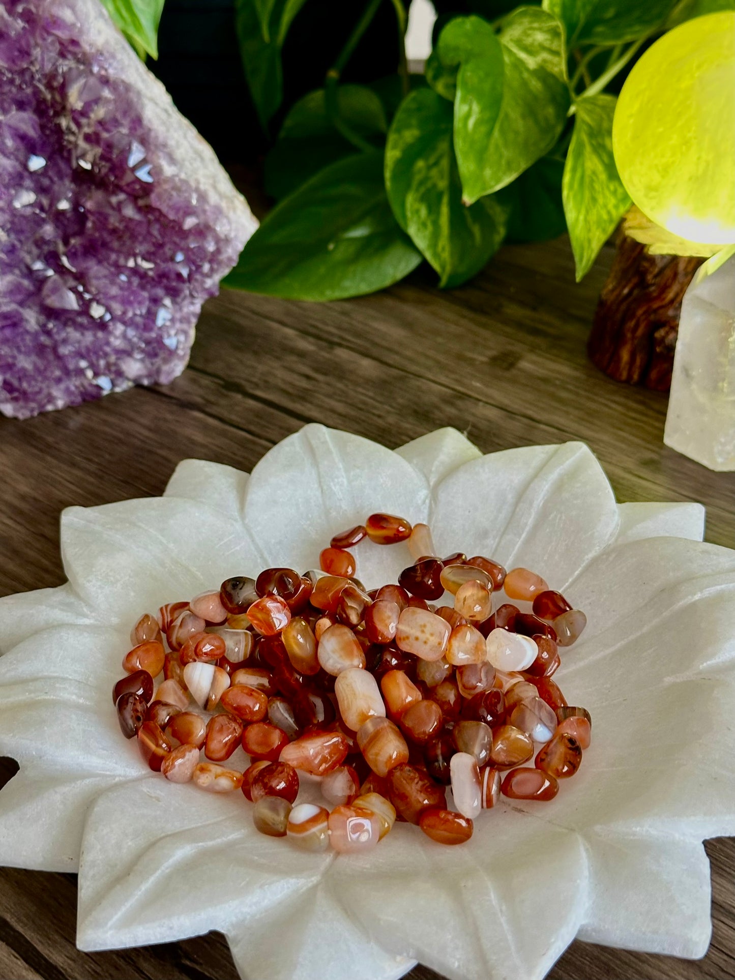 Carnelian Crystal Bracelet for Creativity, Vitality, & Motivation