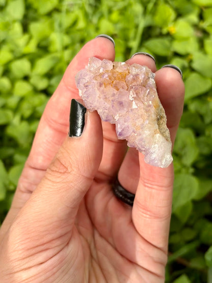 May Moon Kit for Blooming, Expression, & Gratitude