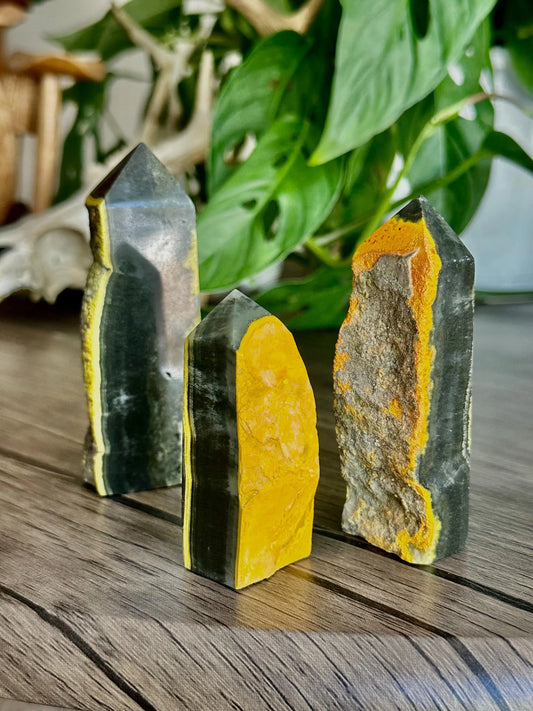 Bumblebee Jasper for Courage, Momentum, & Bold Action