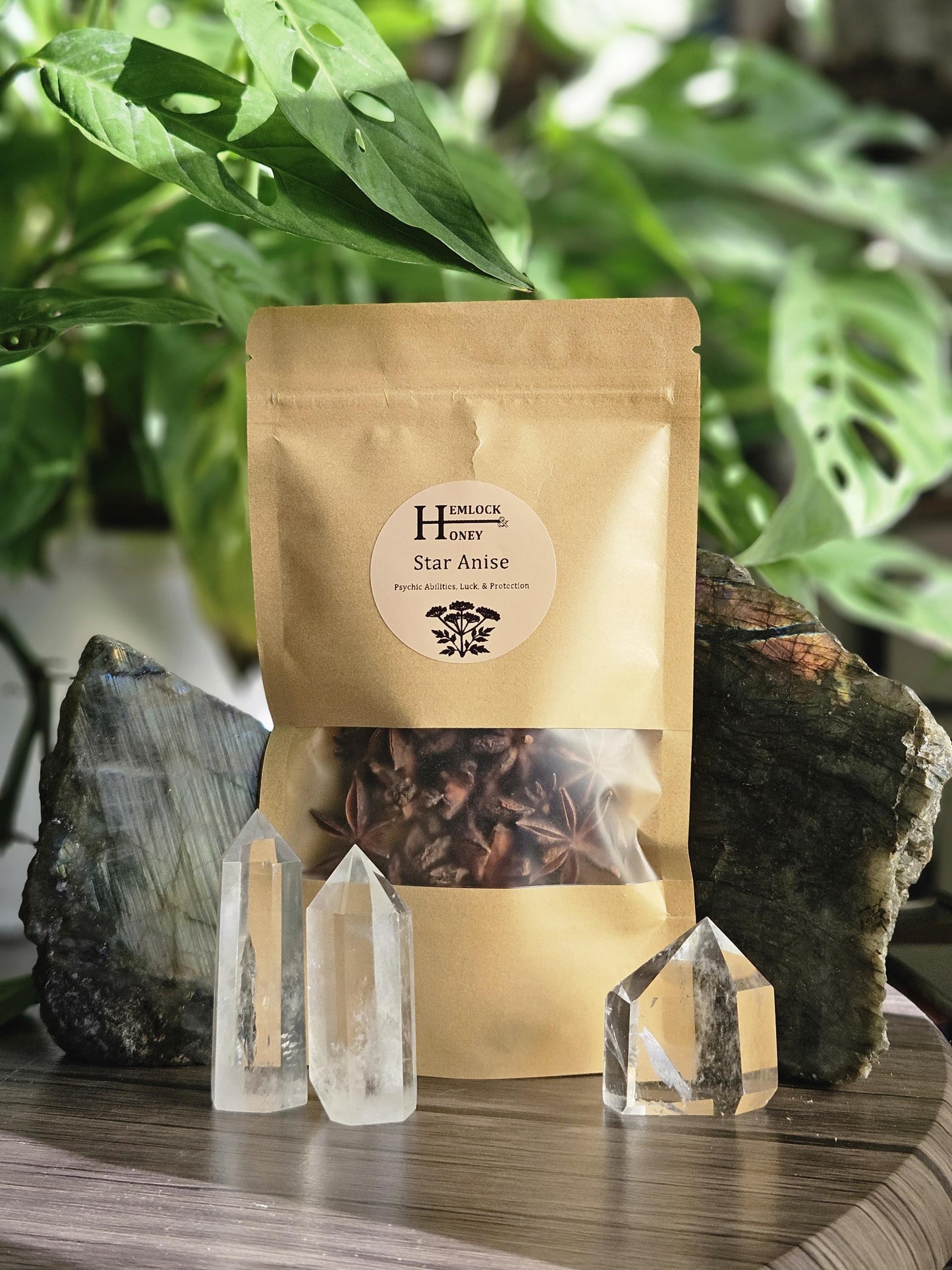 Star Anise Pods for Protection, Luck, and Psychic Awareness