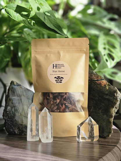 Star Anise Pods for Protection, Luck, and Psychic Awareness