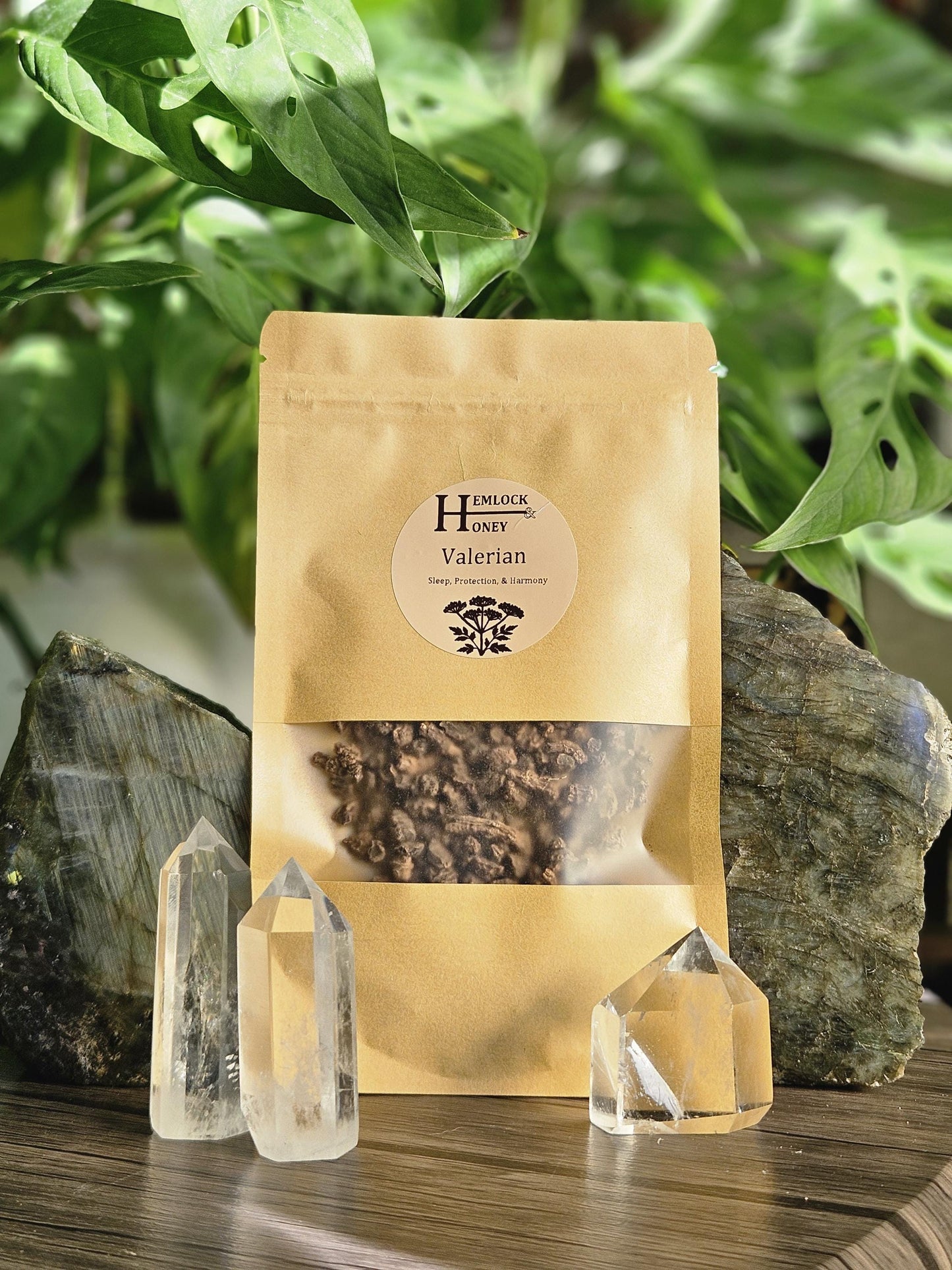 Valerian Root for Cursing, Protection, Peace, & Binding