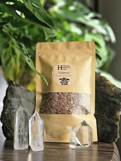 Calamus Root (Sweet Flag) for Binding, Baneful, Commanding, & Protection Workings