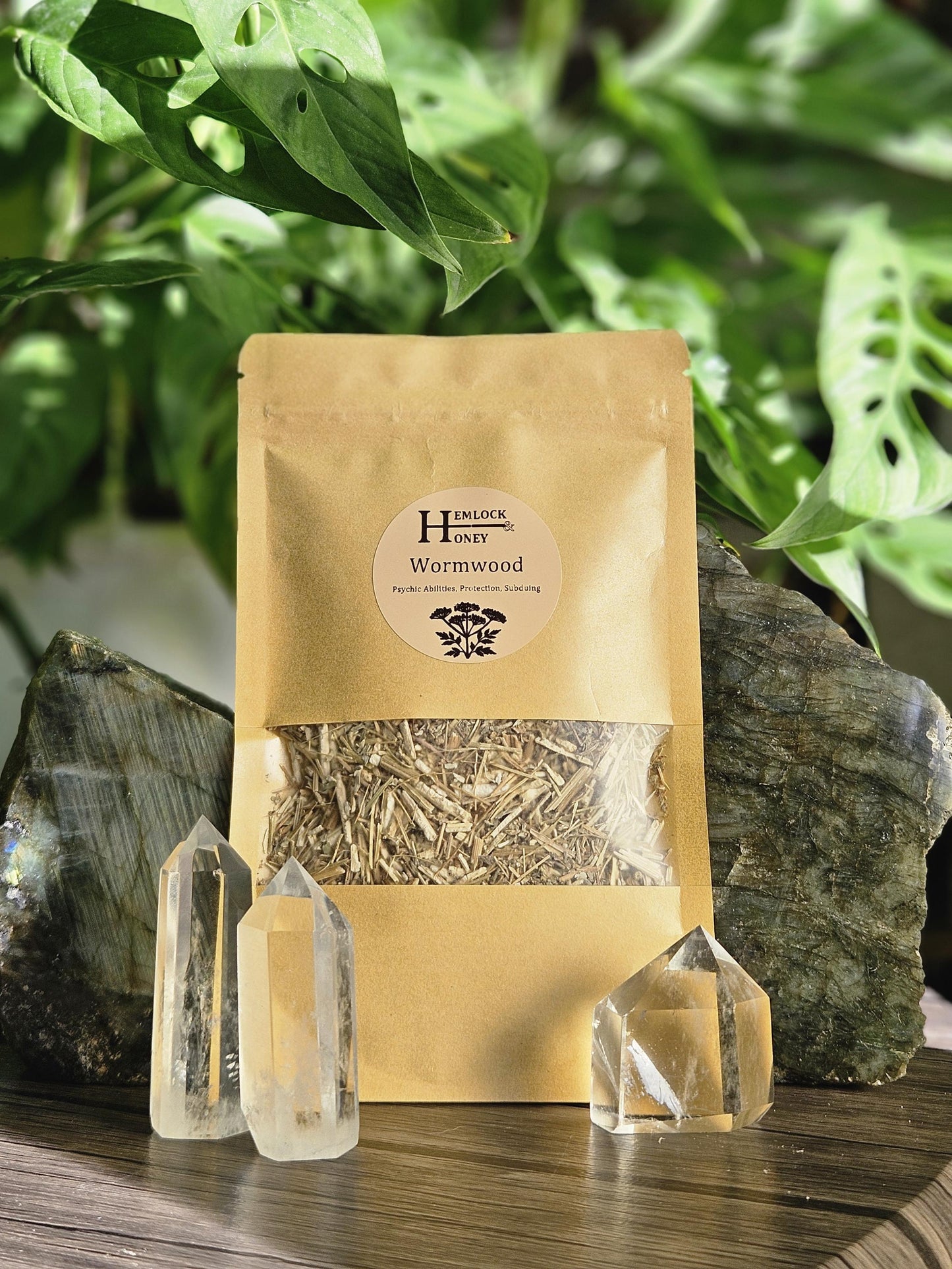 Wormwood for Protection, Spirit Work, Spirit Travel, & Divination
