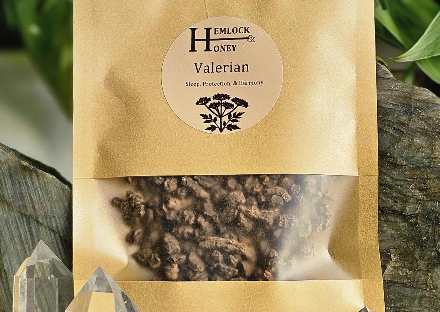 Valerian Root for Cursing, Protection, Peace, & Binding
