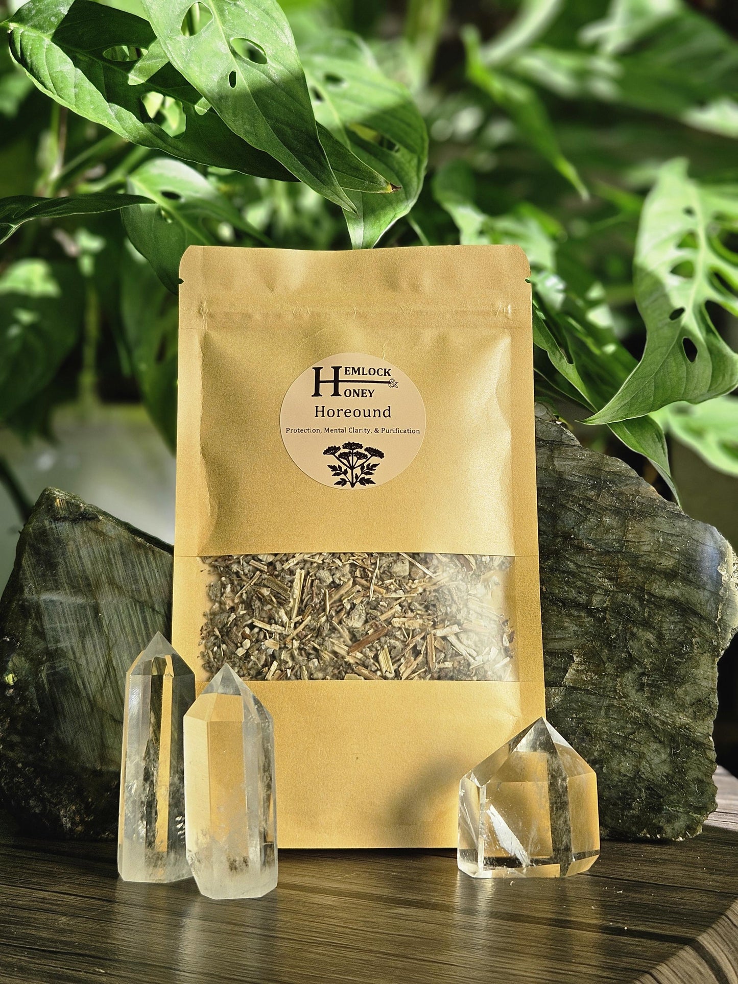 Horehound for Protection, Clarity, & Mental Strength